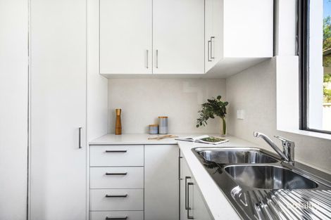 Property photo of 77 Eighth Avenue Campsie NSW 2194