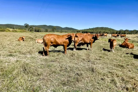 75 Cone Creek Rd, Koumala, QLD 4738