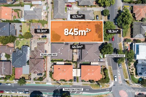 Property photo of 87 Carrington Road Box Hill VIC 3128