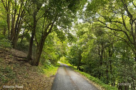 Property photo of 66 Wilsons Road Saddleback Mountain NSW 2533