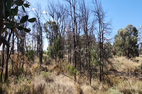 13989 Surat Developmental Rd, Tara, QLD 4421