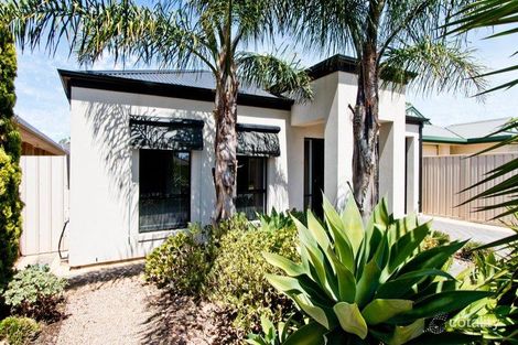 Property photo of 6 Winser Avenue Seaton SA 5023