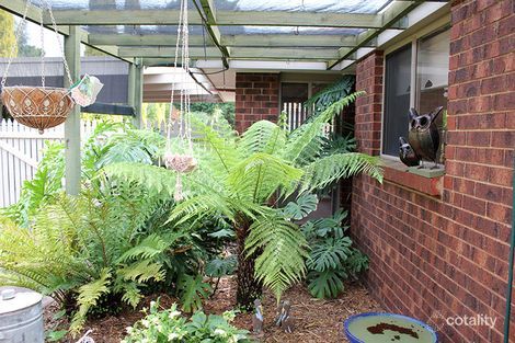 8 Bienias Cres, Tootgarook, VIC 3941