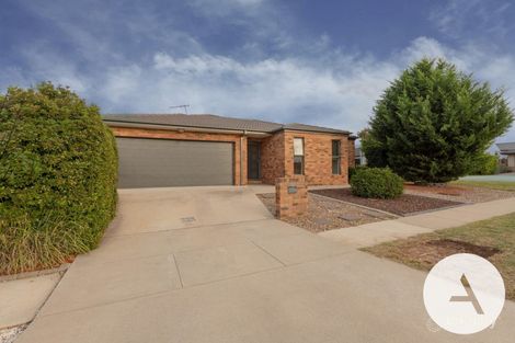 Property photo of 10 Amy Witting Street Franklin ACT 2913