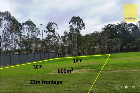 Property photo of 6 Sutton Place Cannon Hill QLD 4170