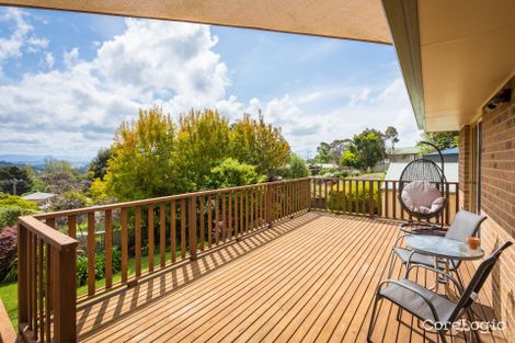 Property photo of 17 Bellbird Court Wolumla NSW 2550