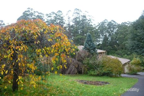 Property photo of 306 Mt Dandenong Tourist Road Sassafras VIC 3787