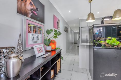 Property photo of 11 Dorrigo Place Fitzgibbon QLD 4018