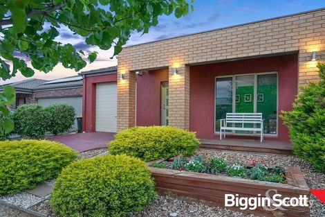 Property photo of 17 Lindrum Outlook Tarneit VIC 3029