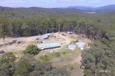 Property photo of 808 Burragate Road Wyndham NSW 2550