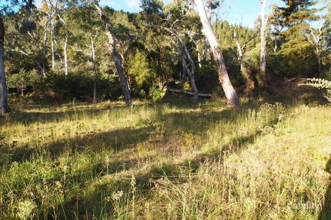 25 Ashwood Ave, Bright, VIC 3741