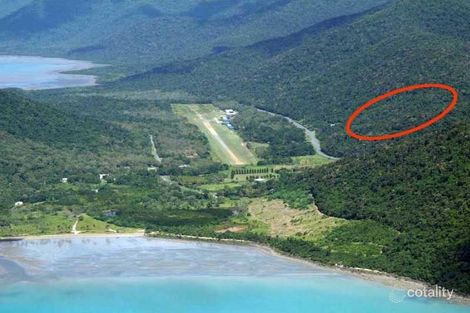 Property photo of 2944A Shute Harbour Road Flametree QLD 4802