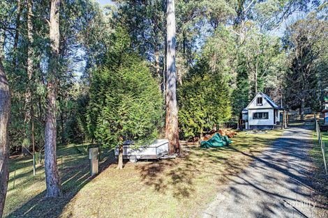Property photo of 19 Warrambat Road Sawmill Settlement VIC 3723