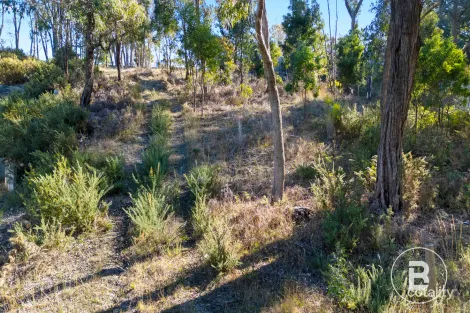 Property photo of 10 Darriwell Drive Mount Helen VIC 3350