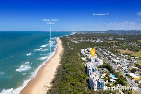 Property photo of 28/885 David Low Way Marcoola QLD 4564