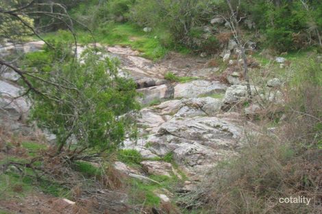 Property photo of 754 Tantawangalo Lane Tantawangalo NSW 2550