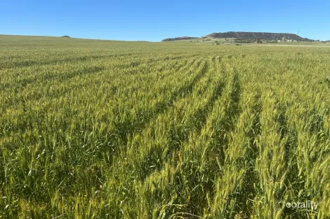 Lot 1914 Minnenooka Rd, Minnenooka, WA 6532