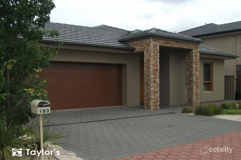 Property photo of 193 Folland Avenue Lightsview SA 5085