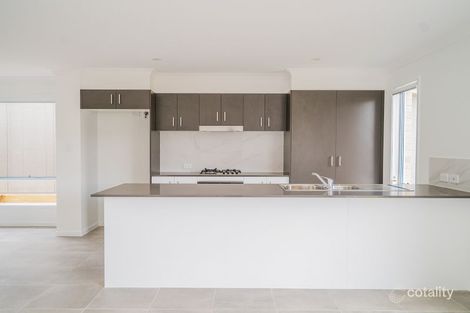 Property photo of 6 Cairo Way Spring Mountain QLD 4300