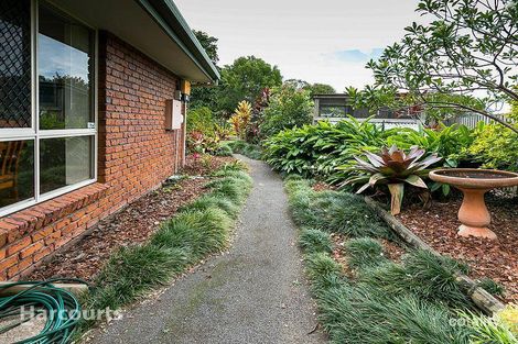 Property photo of 6 Bloodwood Court Kawungan QLD 4655