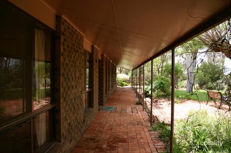 Property photo of 345 Whitla Road Waitchie VIC 3544