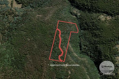 153 White Timber Rd, Lachlan, TAS 7140
