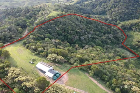 Property photo of 114 Bee Creek Road Eungella QLD 4757