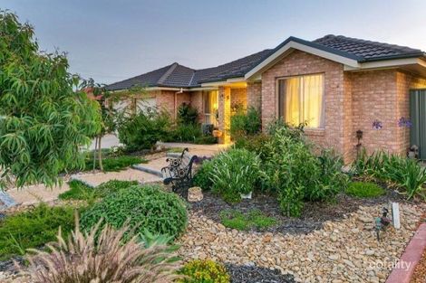 Property photo of 19 Firetail Street Thurgoona NSW 2640