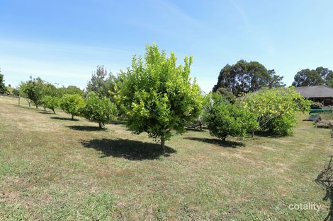 185 Roys Rd, Budgeree, VIC 3870