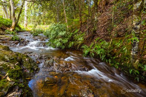 45 Oakes Lane, Elands, NSW 2429