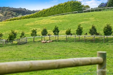 Property photo of 45 Tucks Road Main Ridge VIC 3928