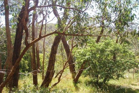 Property photo of 99 Upper Sturt Road Upper Sturt SA 5156