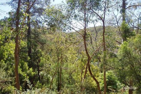 Property photo of 99 Upper Sturt Road Upper Sturt SA 5156