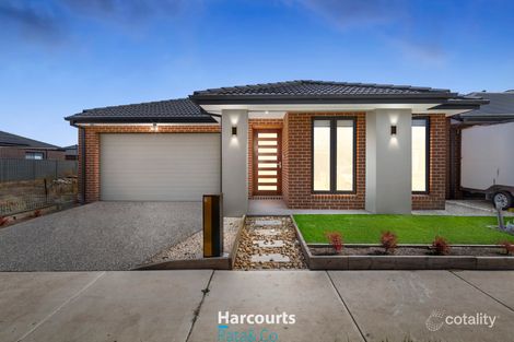 Property photo of 7 Butter Way Donnybrook VIC 3064