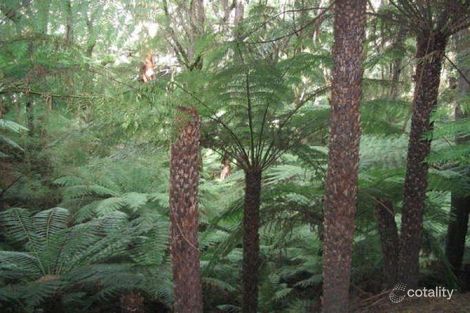 Property photo of 735 Barham River Road Apollo Bay VIC 3233