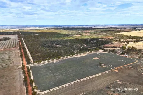 Property photo of 737 Cusack Drive Wadderin WA 6369