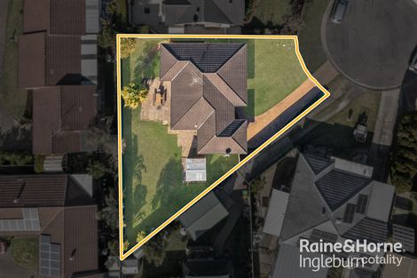 Property photo of 8 Crammond Place Minto NSW 2566