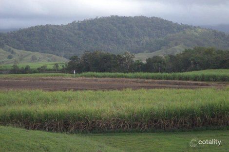 2129 Owens Creek Loop Rd, Finch Hatton, QLD 4756