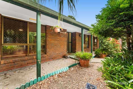 Property photo of 11 McNamara Crescent Morayfield QLD 4506