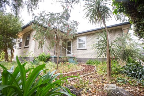 Property photo of 72 Memorial Drive Naracoorte SA 5271