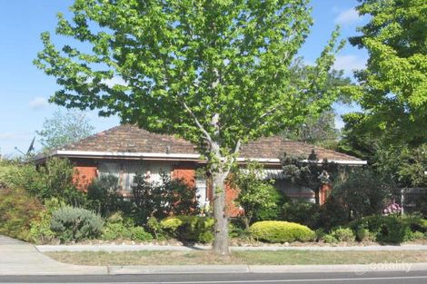 91 Albany Dr, Mulgrave, VIC 3170