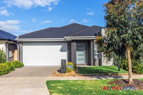 51 Lionsgate Cres, Tarneit, VIC 3029