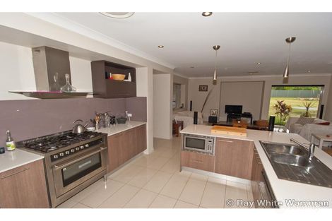 Property photo of 37-39 Glenarba Court Wamuran QLD 4512