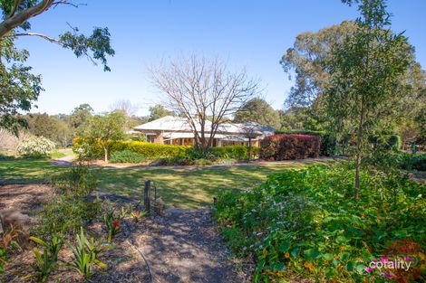 Property photo of 42 Hilldale Drive Bolwarra Heights NSW 2320