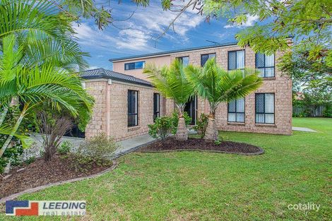 Property photo of 8 Grace Court Boondall QLD 4034