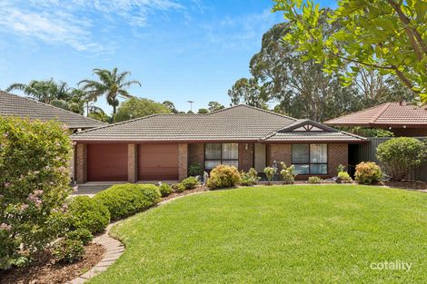 Property photo of 6 Blanche Street Ridgehaven SA 5097