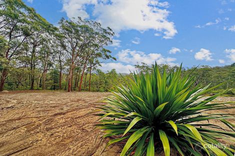 101 Olney Arm Rd, Dairy Arm, NSW 2325