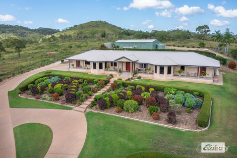Property photo of 17 Laura Close Rockyview QLD 4701