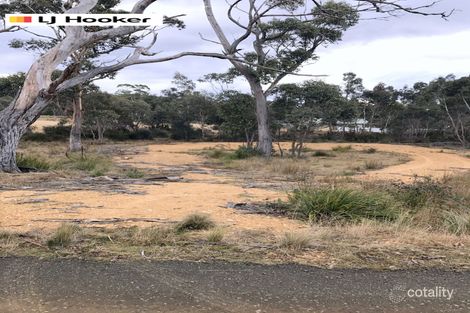 1 Brewis Pl, Lake Leake, TAS 7210