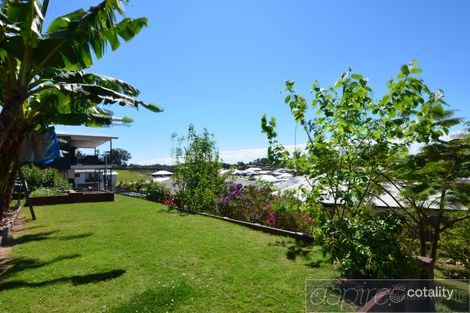 Property photo of 22 Ginger Bell Avenue Bli Bli QLD 4560